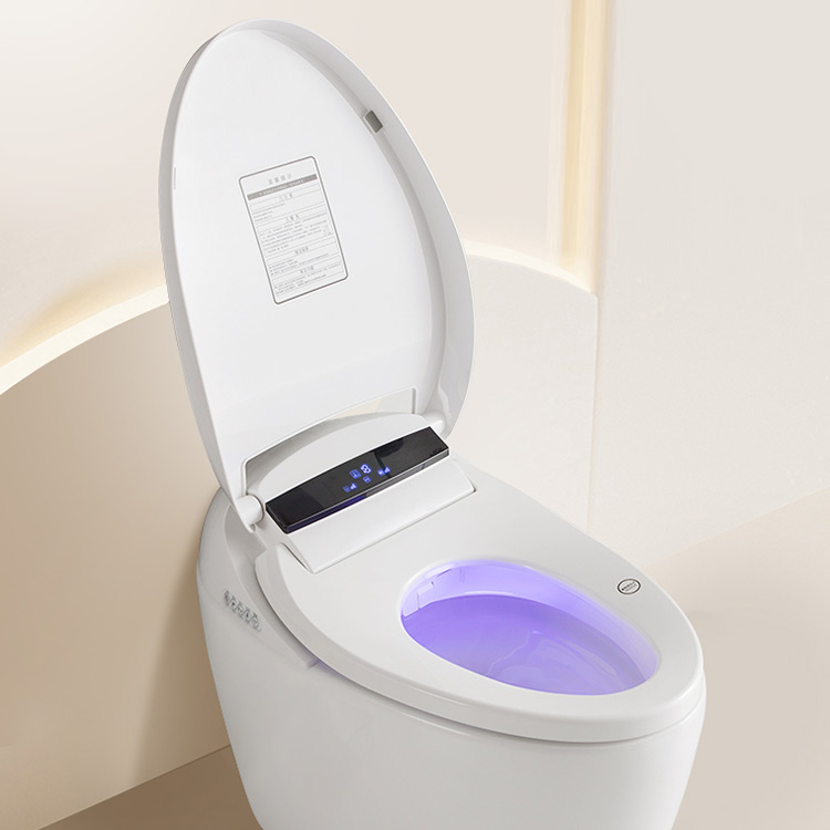 Eco-Intelligent Omega Multi-Function Smart Toilet with Seat Temperatures