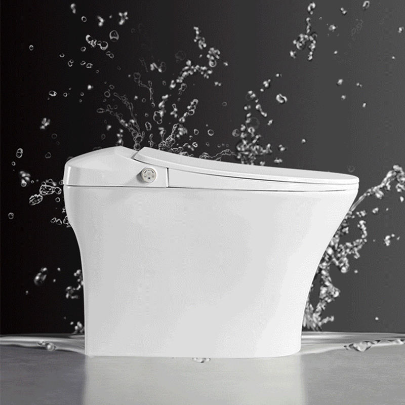Smart Toilet Instant Heating Remote Control Bathroom Toilet S-Trap