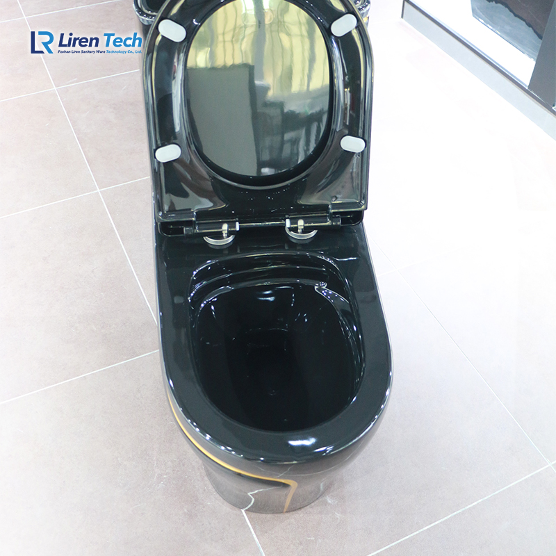 Commercial WC Toilet Set with Dual-Flush Siphonic Ceramic Bowl Black