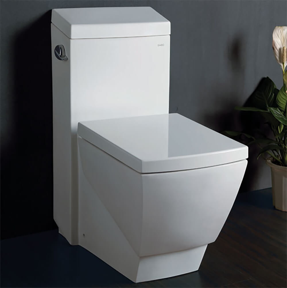 EAGO TB336 Modern One Piece High Efficiency Low Flush Eco Friendly Toilet