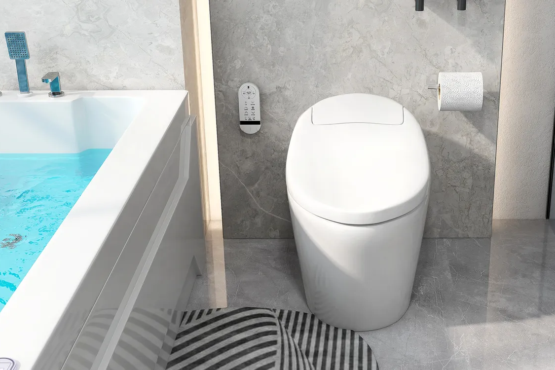 Smart Toilets vs. Traditional Toilets