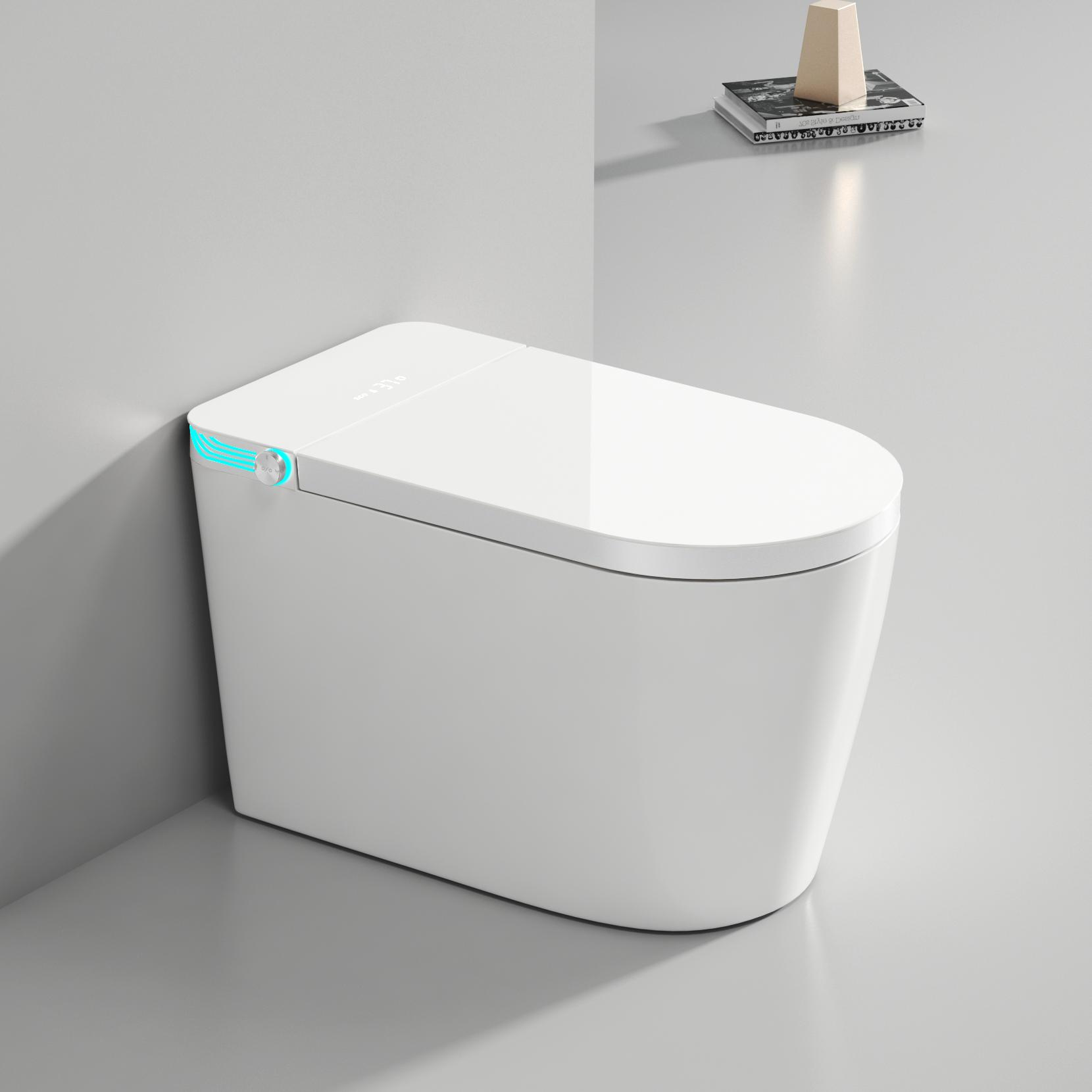 Floor-Mounted Toilet System with Eco-Conscious Build Innovative Functionalit
