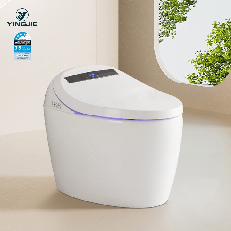 Eco-Intelligent Omega Multi-Function Smart Toilet with Seat Temperatures