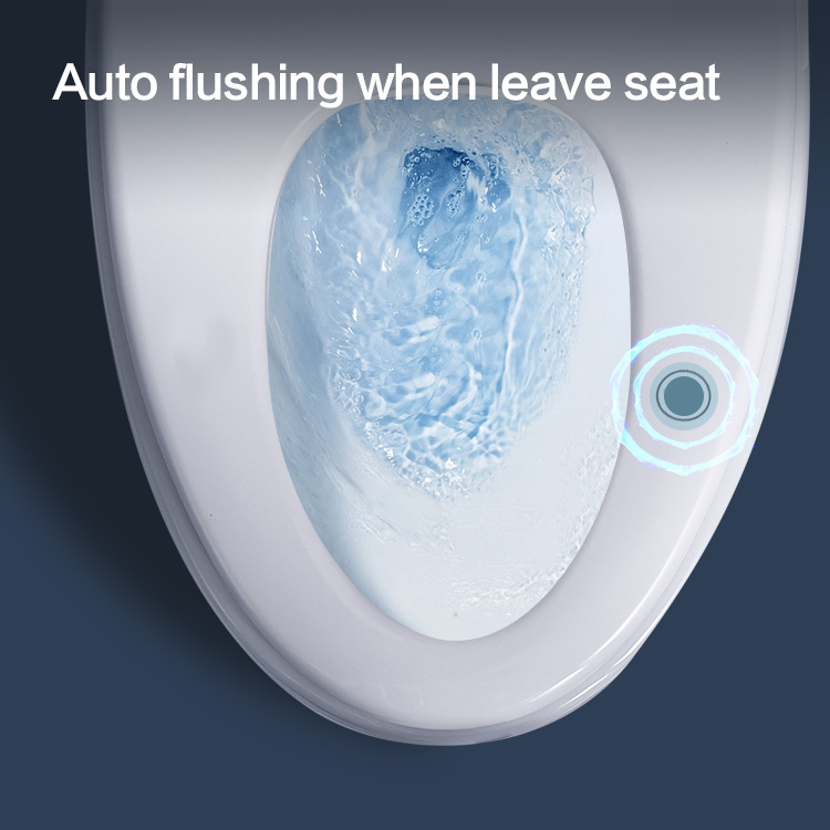 Eco-Intelligent Omega Multi-Function Smart Toilet with Seat Temperatures