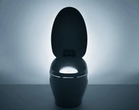 TOTO NEOREST® NX1 Dual Flush Toilet - 1.0 GPF & 0.8 GPF