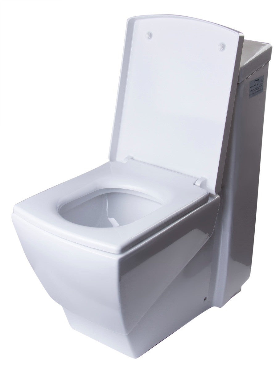 EAGO TB336 Modern One Piece High Efficiency Low Flush Eco Friendly Toilet