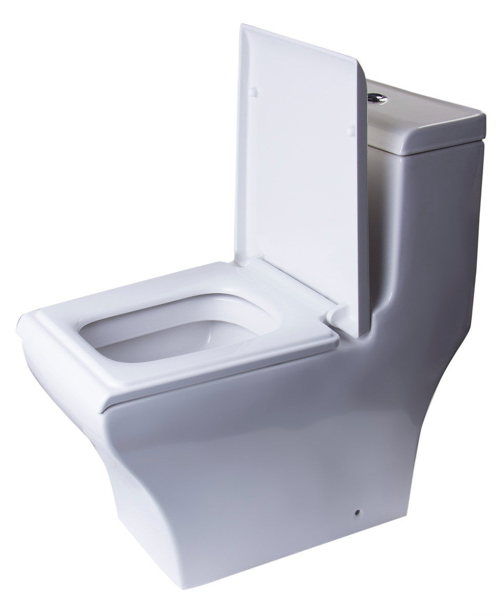 EAGO TB356 White Dual Flush High Efficiency Low Flush Eco-Friendly Toilet